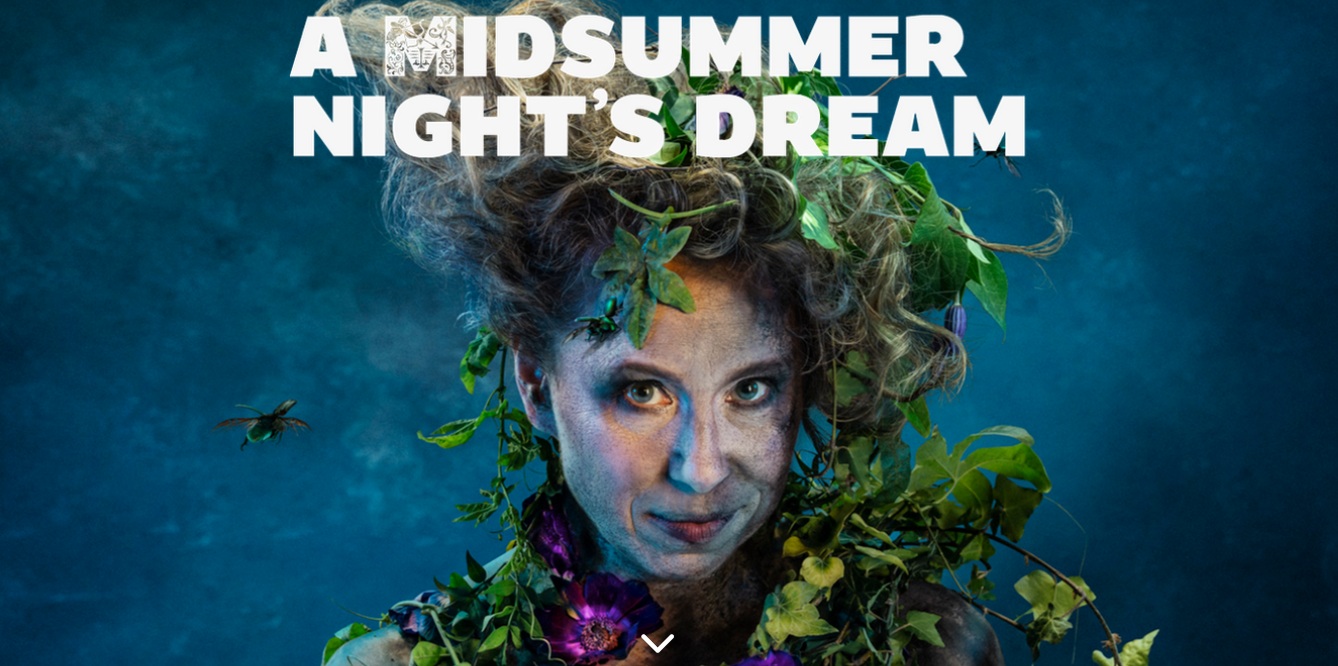 a midsummer nights dream cover